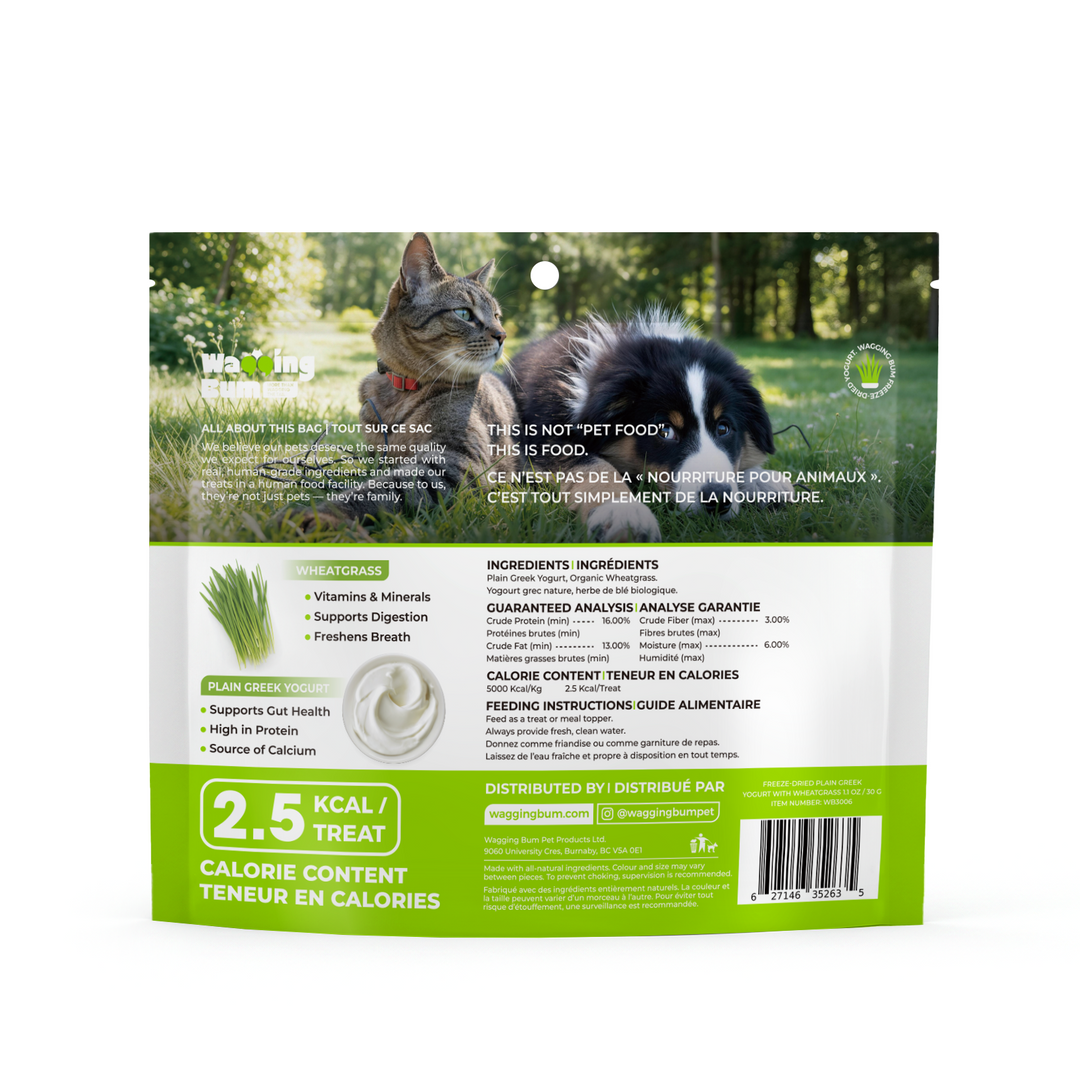 ANYTIME YOGURT! Freeze-dried Plain Greek Yogurt with Wheatgrass 30g / 1.1oz