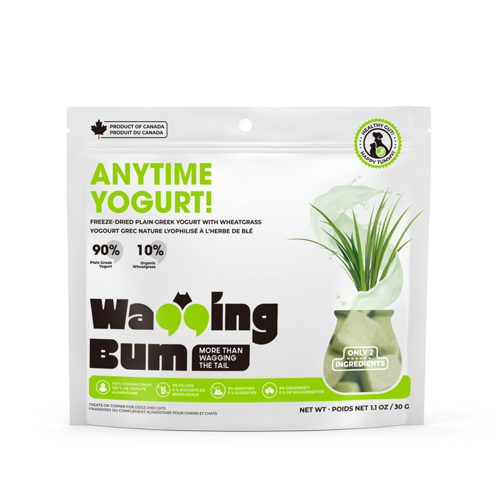ANYTIME YOGURT! Freeze-dried Plain Greek Yogurt with Wheatgrass 30g / 1.1oz