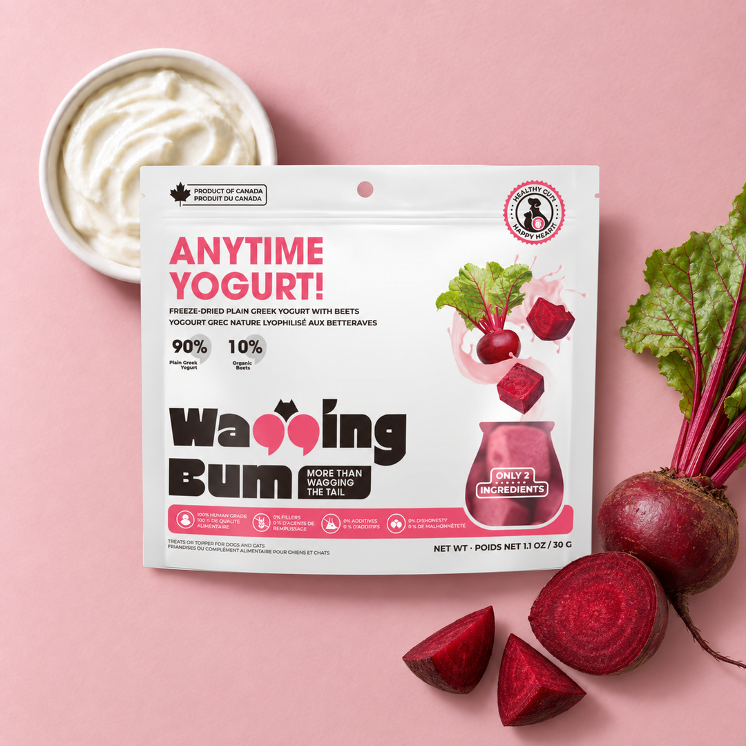 ANYTIME YOGURT! Freeze-dried Plain Greek Yogurt with Beets 30g / 1.1oz