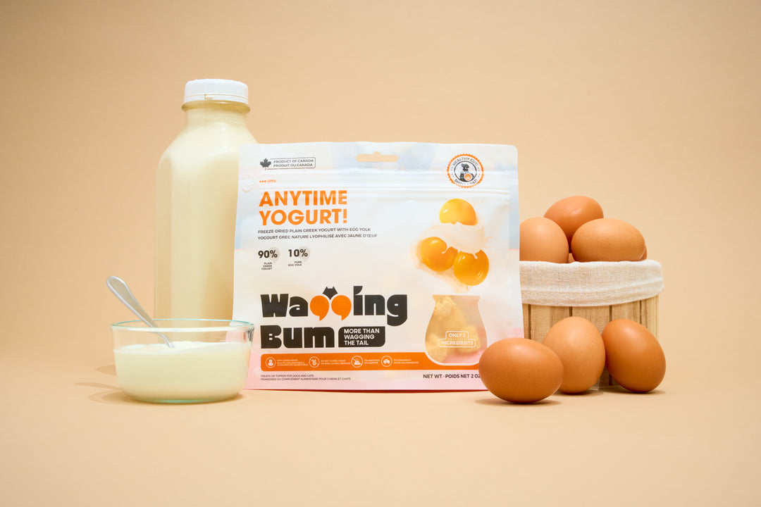 ANYTIME YOGURT! Freeze-dried Greek Yogurt with Egg Yolk