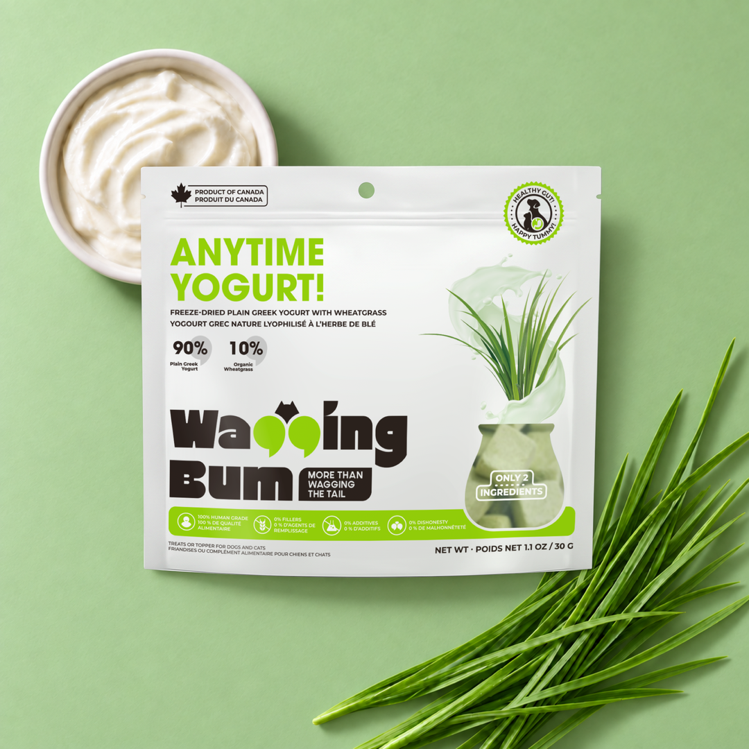 ANYTIME YOGURT! Freeze-dried Plain Greek Yogurt with Wheatgrass 30g / 1.1oz